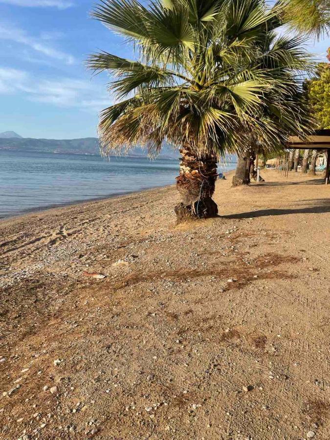 Μοντέρνα Εξοχική Μονοκατοικία Με Ιδιωτική Πισίνα! Khalkoutsion Bagian luar foto