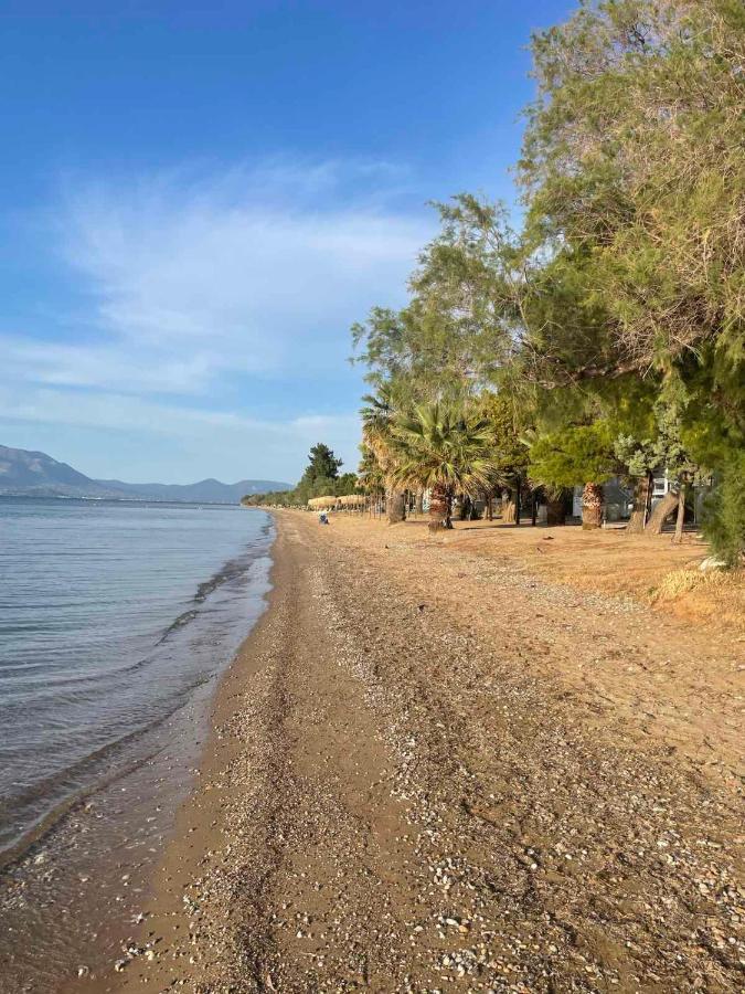 Μοντέρνα Εξοχική Μονοκατοικία Με Ιδιωτική Πισίνα! Khalkoutsion Bagian luar foto